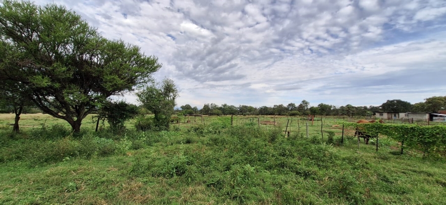 2 Bedroom Property for Sale in Koster North West